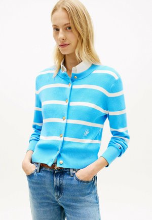 PREMIUM  GOLD-TONE BUTTON  - Cardigan - stripe frigid blue  ivory