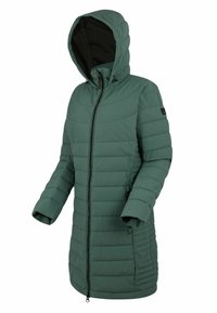 Longue doudoune d'hiver verte avec capuche, fermeture éclair à l'avant et poches latérales zippées, conçue pour la chaleur et la protection contre les intempéries.