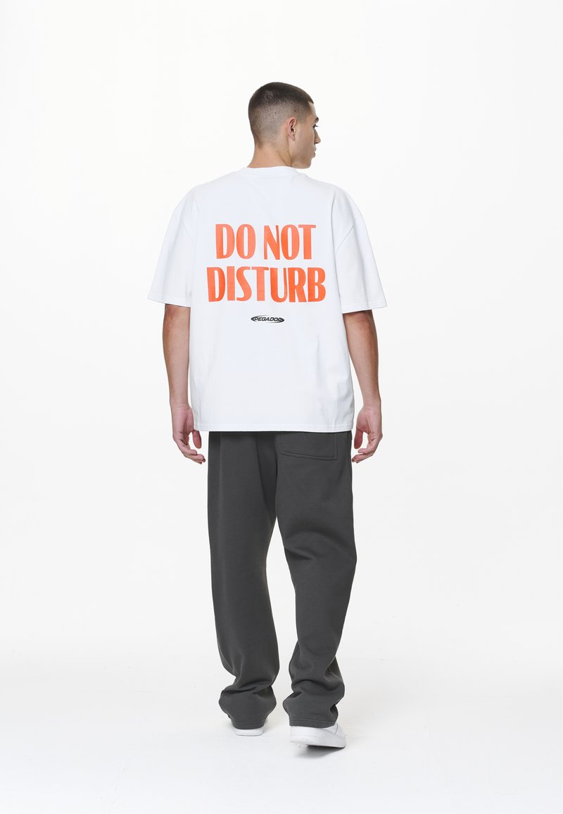 Pegador CRAIL OVERSIZED TEE - Print T-shirt - white