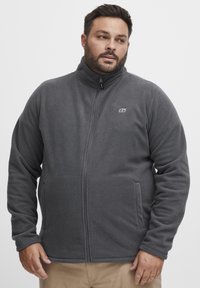 Veste en polaire grise avec un col montant, fermeture éclair complète, deux poches latérales et un petit logo sur la poitrine gauche. Tissu doux et texturé.
