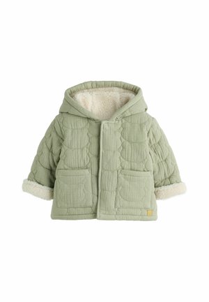 Next, REGULAR FIT - CRINKLE BEAR FACE QUILTED BABY JACKET . - Winterjacke - sage green