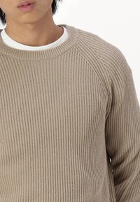 Beżowy sweter z prążkowanego dzianego materiału z okrągłym dekoltem. Charakteryzuje się teksturowaną tkaniną i rękawami typu raglan, prezentowany bez dodatkowych warstw czy akcesoriów.