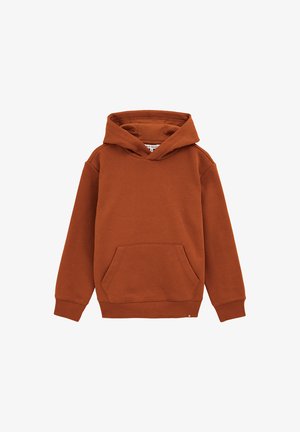 BLUE RIDGE - Športni pulover - rust brown