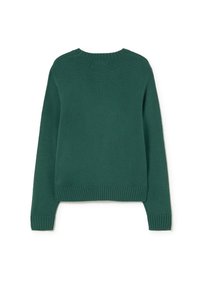 Suéter verde de manga larga tejido con dobladillo, puños y cuello acanalados, mostrado extendido desde la parte trasera sobre un fondo blanco.