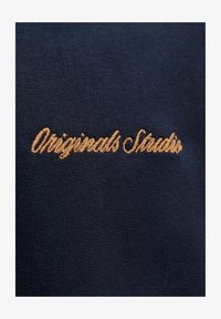 Neizvēlēts, sky captain