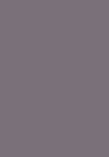 polished pewter