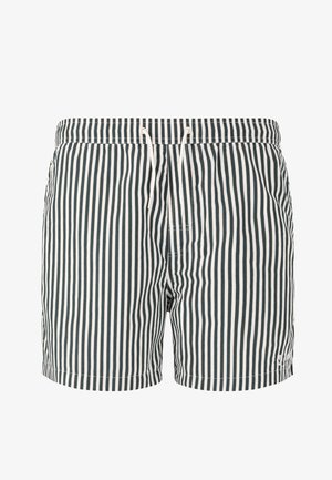 VIRTUS CULLEN - Badeshorts - dusty forest