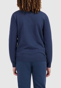 Ballin REGULAR FIT HALF ZIP - Trui - navy
