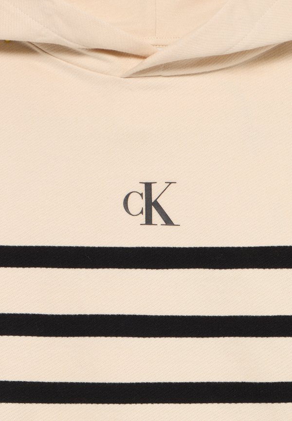 LOGO BOXY FIT STRIPES HOODIE - Hoodie2