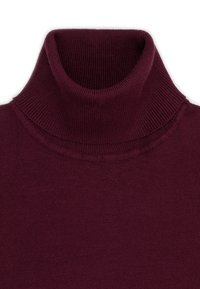 Bordowy sweter z golfem o prążkowanej teksturze. Posiada dopasowany, wysoki fason szyi oraz gładkie wykończenie tkaniny. Brak widocznych wzorów i dodatków.