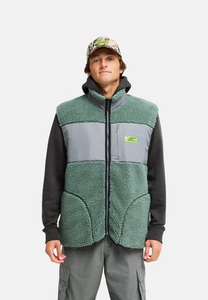 Giovane uomo che indossa un gilet in pile verde e grigio sopra una felpa nera con cappuccio, pantaloni cargo grigi e un cappellino da baseball fantasia, in piedi davanti a uno sfondo bianco.