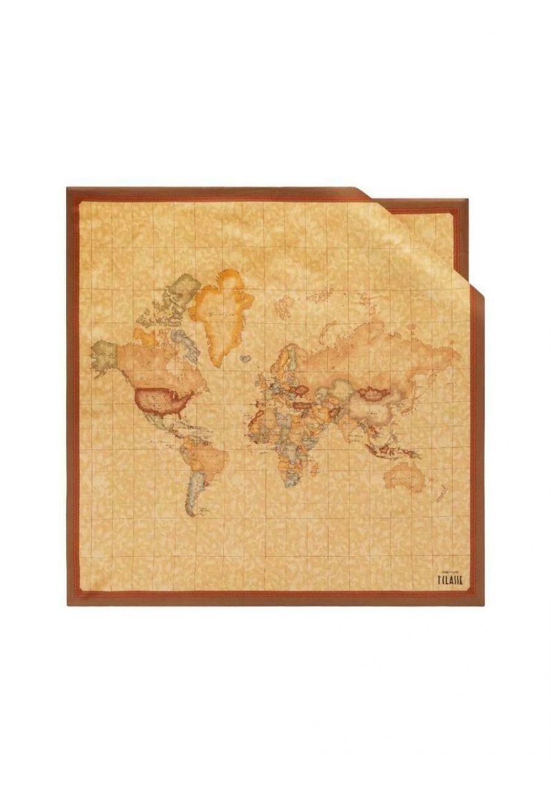 Illustrazione della mappa del mondo, caratterizzata da tonalità beige e marroni, sfondo testurizzato, motivo a griglia e bordo decorativo con dettagli geografici sottili.