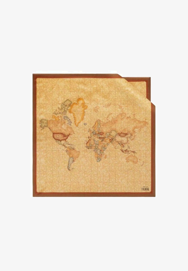 Illustrazione della mappa del mondo, caratterizzata da tonalità beige e marroni, sfondo testurizzato, motivo a griglia e bordo decorativo con dettagli geografici sottili.