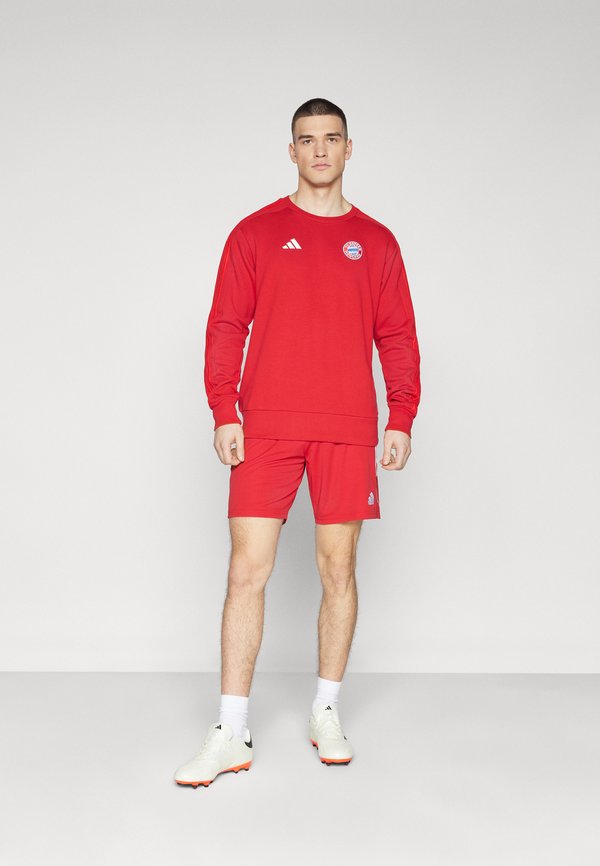 FC BAYERN MÜNCHEN DNA  - Sweatshirt2