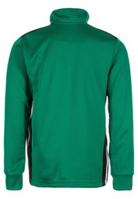 adidas Performance REGISTA 18 - Langarmshirt - green