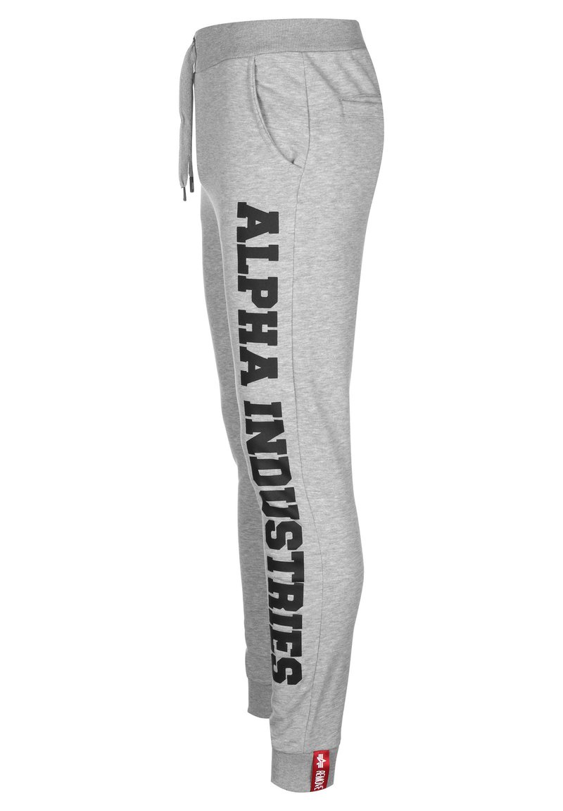 Alpha Industries BIG LETTERS JOGGER Tracksuit bottoms grey