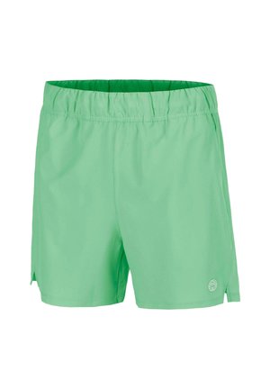 Mintgroene shorts met elastische taille en een klein logo vlakbij de onderste rechterzoom, ontworpen voor casual of sportief gebruik.