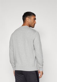 Grijze sweatshirt gemaakt van zachte stof met een ronde hals, lange mouwen en geribde manchetten. Heeft witte accentstrepen op de mouwen.