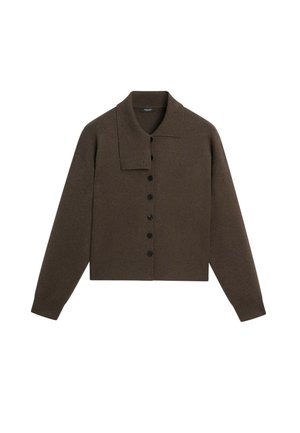 Massimo Dutti, COLLAR DETAIL KNIT CARDIGAN - Cardigan - brown
