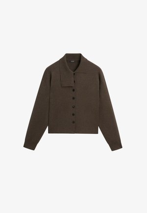 Massimo Dutti, COLLAR DETAIL KNIT CARDIGAN - Strickjacke - brown