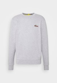 Felpa grigia con scollatura rotonda, maniche lunghe e polsini a coste. Presenta un piccolo logo a motivo leopardato sul petto. Tessuto morbido.