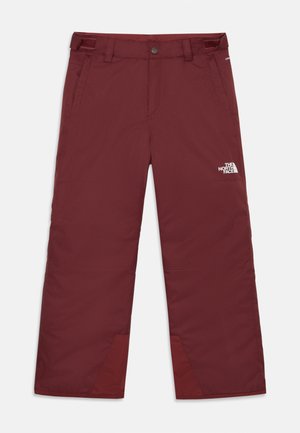 FREEDOM INSULATED PANT UNISEX - Pantaloni de schi - sumac