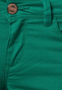 Gros plan sur un jean en denim vert montrant la poche avant, la passoire de ceinture et le bouton en cuivre estampillé "DENIMIZE THE WORLD ONLY."