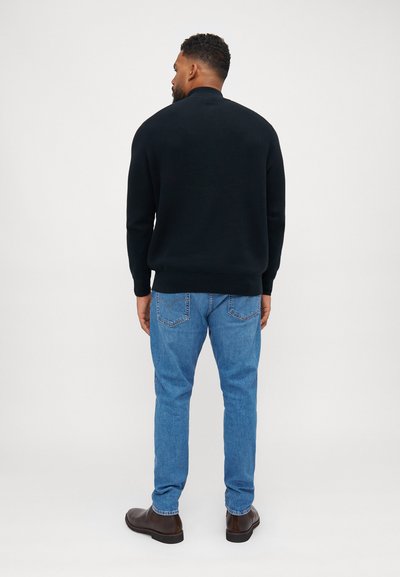 Polo Ralph Lauren Big & Tall QUARTER-ZIP JUMPER - Džemperis - black