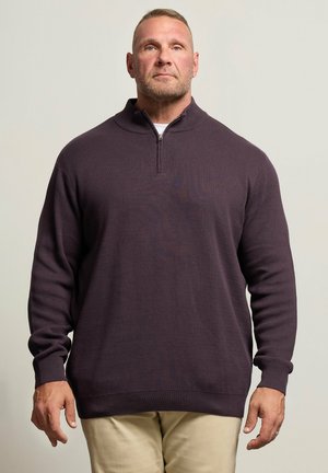 Homme aux cheveux blonds courts portant un pull zippé violet foncé et un pantalon beige, debout devant un fond uni.