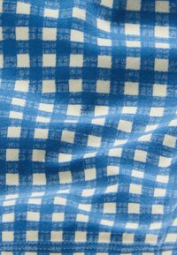Blåt og hvidt ternet stof med en blød tekstur, der viser lette folder og en syet kant forneden.