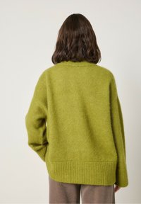 Üks suurem, pika varrukaga sviiter pehme, tekstuurse oliivrohelise kudumisega. Sellel on soonikuline serv ja lai kaelus, esitletud tagantpoolt.