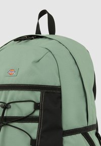 Dickies ASHVILLE UNISEX jasnozielony