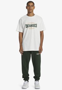 DC Shoes BASELINE - Verryttelyhousut - gzh mountain view