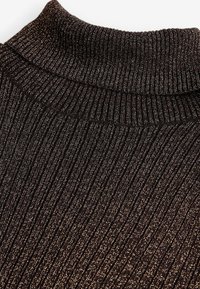 Next HIGH ROLL NECK  - Svetr - brown chocolate sparkle