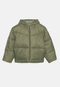 Selezionato, oil green