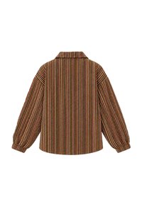 Veste-chemise à rayures verticales multicolores, manches longues bouffantes et petit col, vue de dos sur fond blanc.