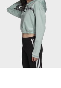 adidas Originals Kapuzenpullover - green