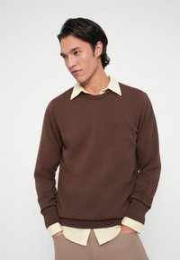 Fiatal férfi barna pulóverben, világos sárga csíkos inggel, keze a zsebében, oldalra nézve egy sima háttér előtt.