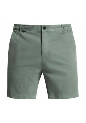 Shorts en coton vert clair avec un devant à plat, fermeture à bouton et taille élastique. Présente deux poches latérales et des ourlets propres.