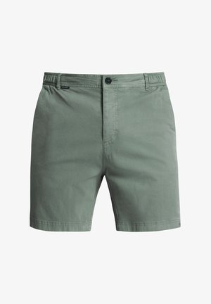 Shorts en coton vert clair avec un devant à plat, fermeture à bouton et taille élastique. Présente deux poches latérales et des ourlets propres.