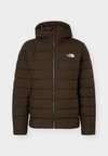 M ACONCAGUA HOODED JACKET - Doudoune - dark chestnut