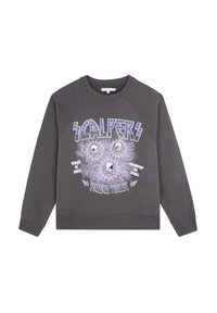 Felpa grigia con colletto a coste, maniche raglan e un design grafico che presenta teschi e accenti di fulmini. Testo: "SCALPERS REBEL TOUR."