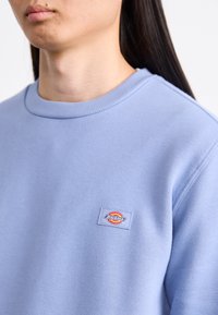 Light blue sweatshirt with a round neck, featuring a small logo patch in red and yellow on the left chest. Smooth, soft fabric texture.