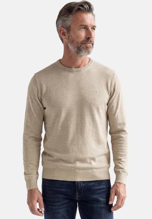 Mittelgroßer Mann mit grauem Haar und Bart, der einen beigefarbenen Langarmpullover und dunkelblaue Jeans trägt und leicht nach rechts schaut.