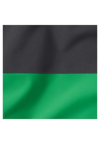 Drapeau divisé horizontalement avec une moitié supérieure noire et une moitié inférieure verte, texture de tissu avec plis et ombres visibles.