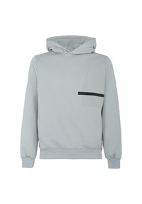 Colmar Felpa con cappuccio - grigio