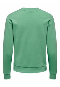 Sudadera verde hecha de una suave mezcla de algodón, con un cuello redondo acanalado, mangas largas y puños y dobladillo acanalados. Diseño simple y minimalista.