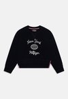 EMBROIDERED CREWNECK - Felpa - desert sky
