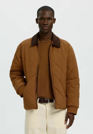 Selected QUILTED JACKET SHORT - Veste d'hiver - monks robe