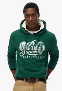 Sudadera verde de algodón, con un gráfico blanco impreso de montañas y árboles, cordones y un bolsillo frontal.